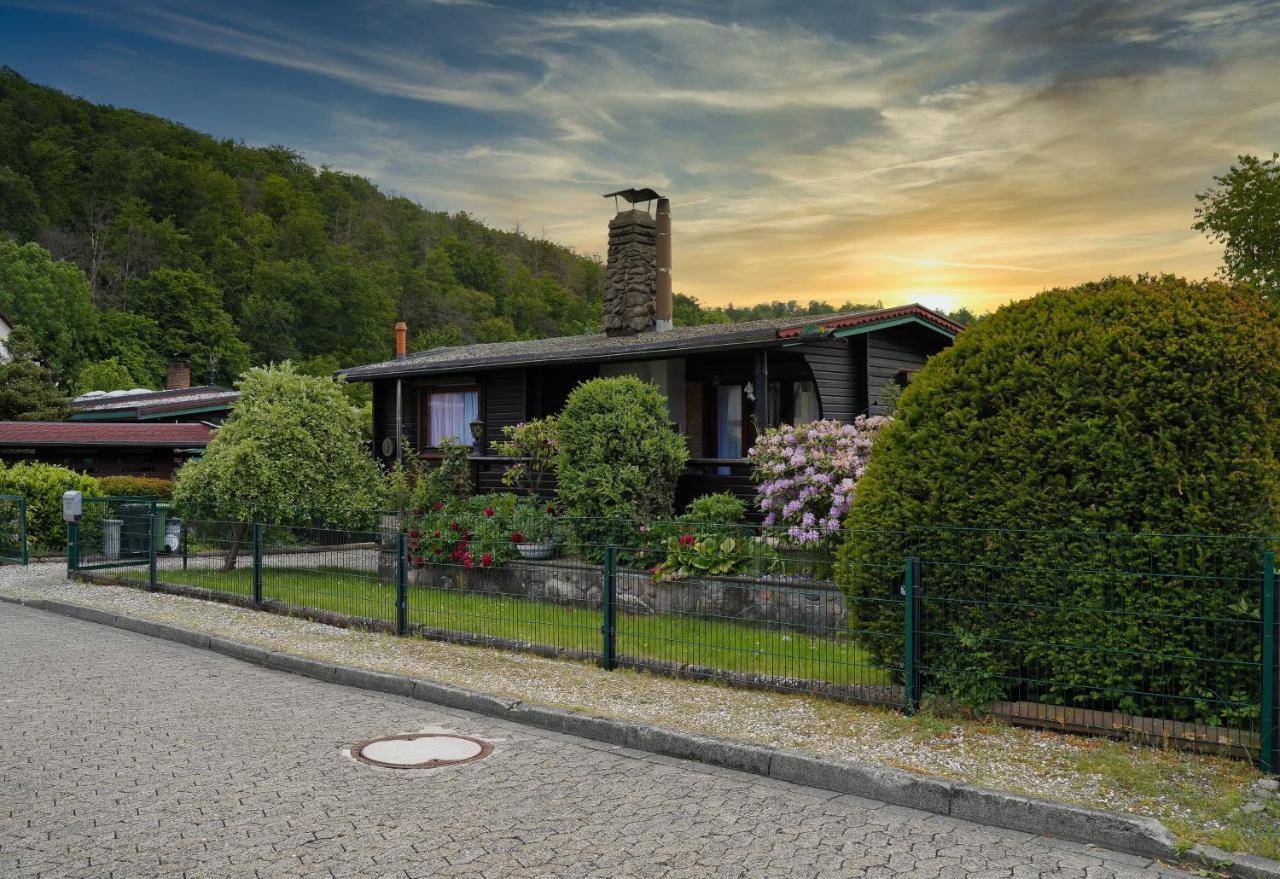 Apartamento Ferienblockhaus Harzidyll Wieda Exterior foto